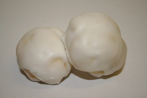 Pecan Balls